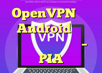 OpenVPN برای Android بدون اینترنت با مرورگر – PIA
