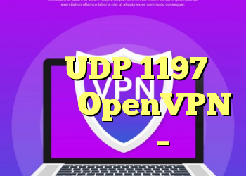 آیا می توانم با استفاده از UDP 1197 پرونده OpenVPN دریافت کنم؟ – پیا