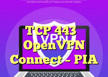نحوه اتصال با استفاده از TCP 443 با OpenVPN Connect – PIA
